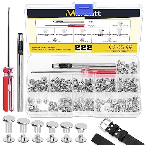 Mardatt 222Pcs Chicago Screws Assorted Kit with Setting Tools, M5 X 4/5/6/8/10/12MM Screw Rivets Metal Slotted Screw Studs Leather Rivets for DIY Leather Craft Decoration(Silver) von Mardatt