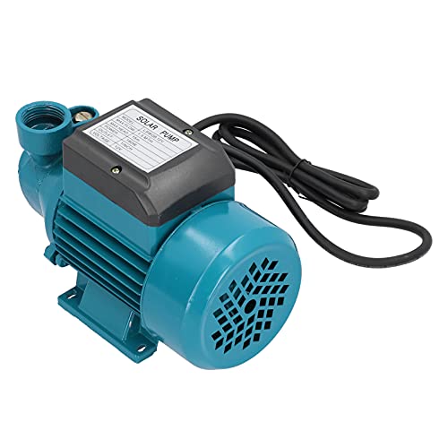 180W DC12V Wasserpumpe Wassertransferpumpe Pumpen Filter Wasserpumpen Tragbare Elektropumpe Zum Entfernen von Wasser aus Garten Whirlpool Regenfass Pool Teich Aquarien und Mehr von Marhynchus