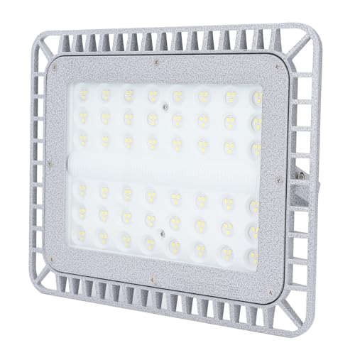 Marhynchus 5000k LED -Explosionssicheres Licht 100W Hohe Helligkeit 12000 Lm für Ölladungsklemmen 220 V Aluminiumschalen -LED Licht Marhynchus 5000k LED -Explosionssicheres Licht 100W Hohe Helligkeit 12000 Lm für Ölladungsklemmen 220 V Aluminiumschalen -LED Licht von Marhynchus