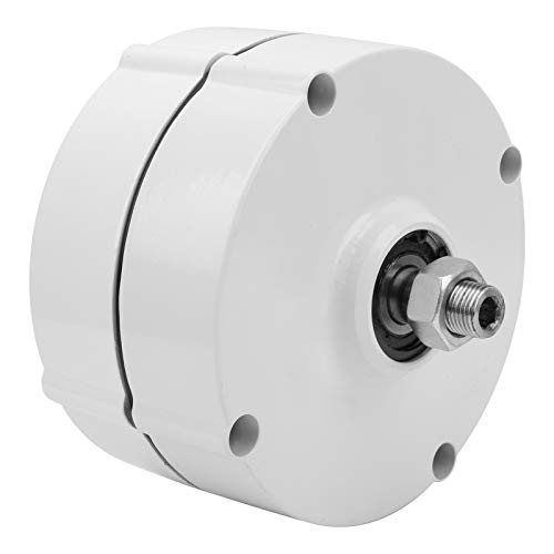Marhynchus Avan-100W Permanent Magnet Generator: High 3-Phasenstromgenerator für Industriematerialien (Ohne Gleichrichter 12V) von Marhynchus
