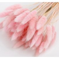 3 Sets Pink Bunny Tails | Hasenschwänze Getrocknete Blumen Für Boho Hochzeitsstrauß Baby Shower Dekor Geschenk Mama Natürliche von MariFioriDecor