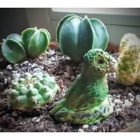 Keramik Topfstecker Kakapo | Eulenpapagei Keramik Topfstecker Kakapo | Eulenpapagei von Marifalk