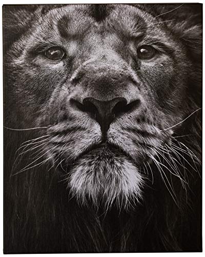 Marina Cano The King 60 x 80cm Canvas Print Leinwanddruck, Mehrfarbig, 60 x 80 cm von Marina Cano