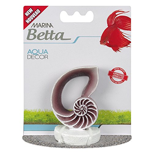 Marina Betta Ornament Muschel 12232 von Marina