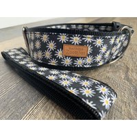 Darling Daisy Hundehalsband, Maritim, Pei, Floral, Blume, Schwarz, Weiß, Gelb von MaritimeZoomies