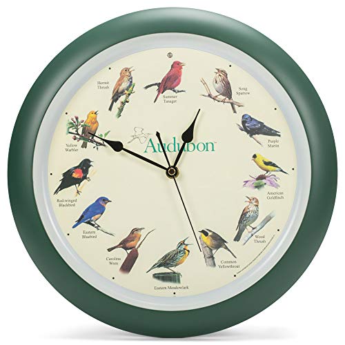 Mark Feldstein & Associates Audubon Wanduhr Singender Vogel, 33 cm von Mark Feldstein & Associates
