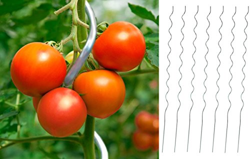 Markenlos 25 x Tomaten-Spiralstab 180cm Stahl verzinkt von Markenlos