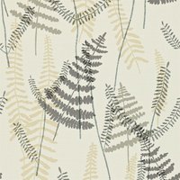 Scion Athyrium Farn Blätter Wallpaper von Market27