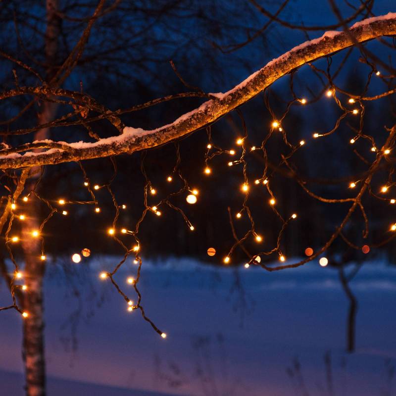 LED-Lichtervorhang Chrissline Extra, 100 LEDs, 2.300 K LED-Lichtervorhang Chrissline Extra, 100 LEDs, 2.300 K von Markslöjd