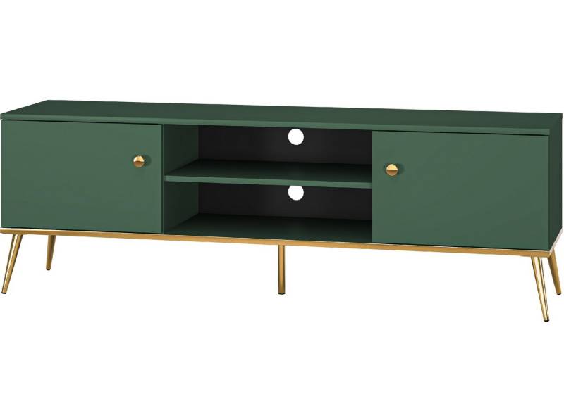 Marmex Möbel Lowboard FOREST 05 TV-Board TV-Schrank mit 2 Schranktüren Wohnzimmer Marmex Möbel Lowboard FOREST 05 TV-Board TV-Schrank mit 2 Schranktüren Wohnzimmer von Marmex Möbel