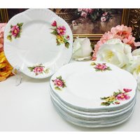 Shelley Begonia 18 cm Kuchenteller von MarquisTreasures