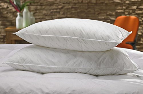 Marriott Offizielles Faserkissen Hotel Rechteckig - Standard - 51 x 66 cm Marriott Offizielles Faserkissen Hotel Rechteckig - Standard - 51 x 66 cm von Marriott