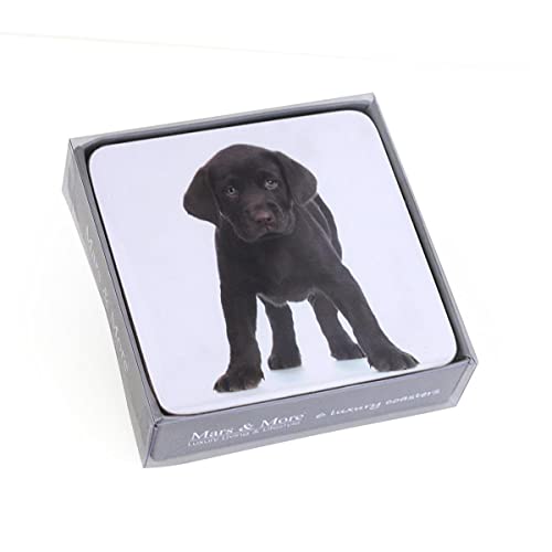 Mars & More 6-teiliges Glas-Untersetzer-Set Labrador | MM-SCOZLB von Mars & More b.v.
