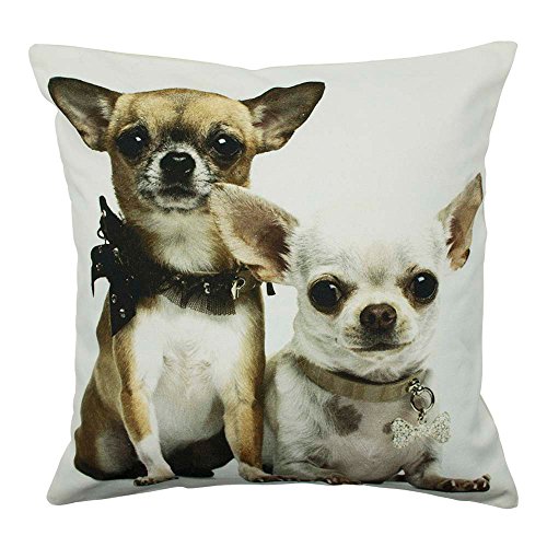 Mars & More - Kissen - Canvas - 2 Chihuahuas - 50x50cm von Mars & More