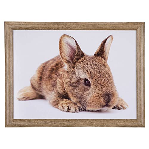 Mars & More - Tablett - Knietablett - Hase, Kaninchen liegend - 43 x 33 x 7 cm - mit Kniekissen von Mars & More