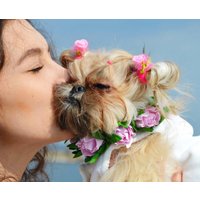 Hundehalsband Blume, Hochzeitshundehalsband, Rose-Hochzeits-Hundehalsband, Floral von MarsDogShop