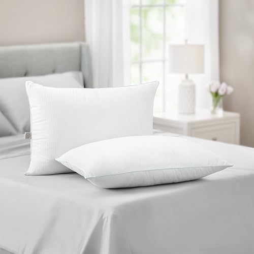 Martha Stewart Dobby Stripe Down Alternative Schlafkissen-Set – 2er-Pack | kühl zu berühren | druckentlastend | Memory Foam-ähnliche Faserfüllung | alle Schlafpositionen | King | Weiß Martha Stewart Dobby Stripe Down Alternative Schlafkissen-Set – 2er-Pack | kühl zu berühren | druckentlastend | Memory Foam-ähnliche Faserfüllung | alle Schlafpositionen | King | Weiß von Martha Stewart
