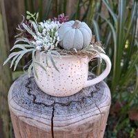 Gesteck Mit Kürbis in Einer Tasse Herbstliche Tischdekoration Deko Herbstdeko Rustikales Tischgesteck von MarthasHusAtelier