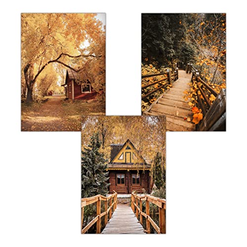 Martin Kench 3er Poster Set Wohnzimmer - Bilder Deko Schlafzimmer - Kürbis Herbst Stilvolle Wandbilder - ohne Bilderrahmen (Stil 1,50x70cm) von Martin Kench