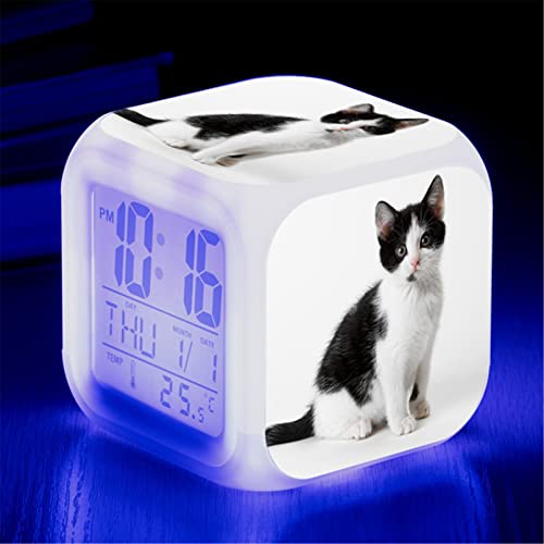 Martin Kench Wecker Katze Junge Mädchen, Wecker Kinder Geschenk, Wecker Digital mit LED, Nachtlicht, Snooze, Batteriebetriebene Weckuhr (B) von Martin Kench