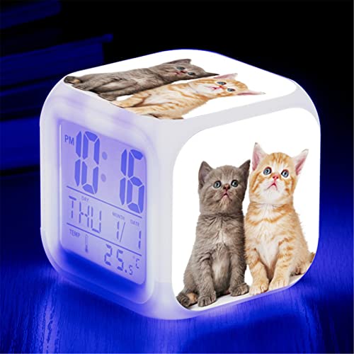 Martin Kench Wecker Katze Junge Mädchen, Wecker Kinder Geschenk, Wecker Digital mit LED, Nachtlicht, Snooze, Batteriebetriebene Weckuhr (D) von Martin Kench