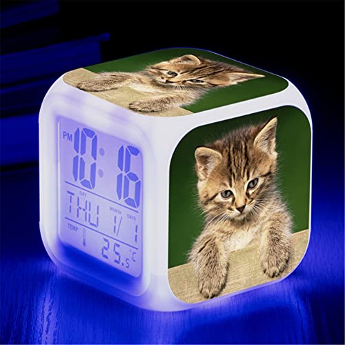 Martin Kench Wecker Katze Junge Mädchen, Wecker Kinder Geschenk, Wecker Digital mit LED, Nachtlicht, Snooze, Batteriebetriebene Weckuhr (E) von Martin Kench