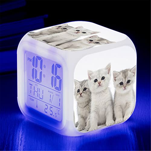 Martin Kench Wecker Katze Junge Mädchen, Wecker Kinder Geschenk, Wecker Digital mit LED, Nachtlicht, Snooze, Batteriebetriebene Weckuhr (I) von Martin Kench