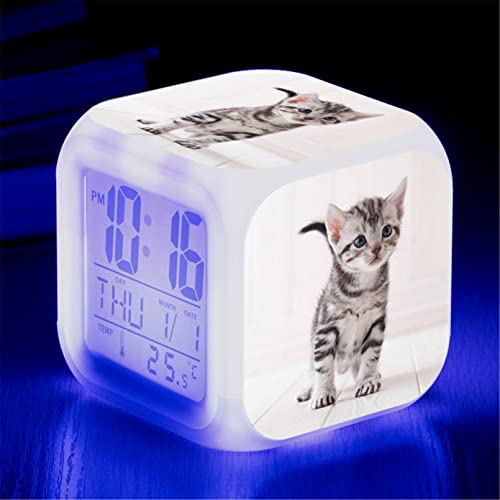 Martin Kench Wecker Katze Junge Mädchen, Wecker Kinder Geschenk, Wecker Digital mit LED, Nachtlicht, Snooze, Batteriebetriebene Weckuhr (L) von Martin Kench