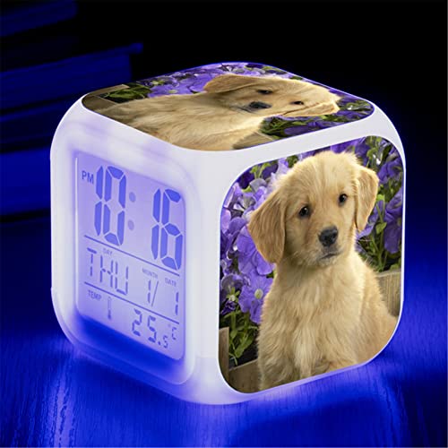 Wecker Hund, Wecker Digital mit LED, Wecker Kinder Junge Mädchen Geschenk, Nachtlicht, Snooze, Batteriebetriebene Weckuhr (H) von Martin Kench