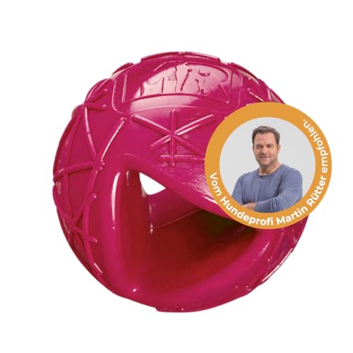 Martin Rütter Hundeball „Moby“ Metallic-Pink – robuster Spielball für Hunde, befüllbar, aus 100% Naturmaterial, unvorhersehbar hüpfend, fördert Bewegung und geistige Auslastung Martin Rütter Hundeball „Moby“ Metallic-Pink – robuster Spielball für Hunde, befüllbar, aus 100% Naturmaterial, unvorhersehbar hüpfend, fördert Bewegung und geistige Auslastung von Martin Rütter