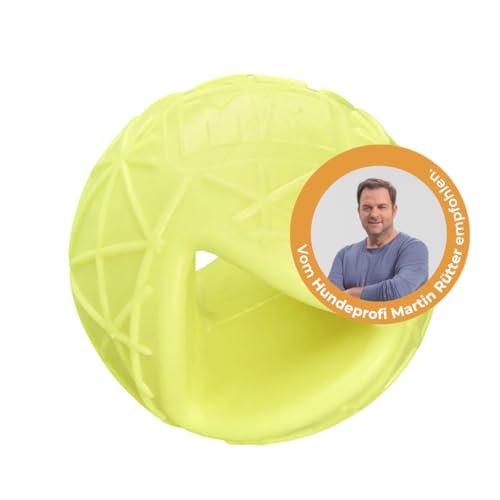 Martin Rütter Hundeball „Moby“ Neongelb – robuster Spielball für Hunde, befüllbar, aus 100% Naturmaterial, unvorhersehbar hüpfend, fördert Bewegung und geistige Auslastung Martin Rütter Hundeball „Moby“ Neongelb – robuster Spielball für Hunde, befüllbar, aus 100% Naturmaterial, unvorhersehbar hüpfend, fördert Bewegung und geistige Auslastung von Martin Rütter