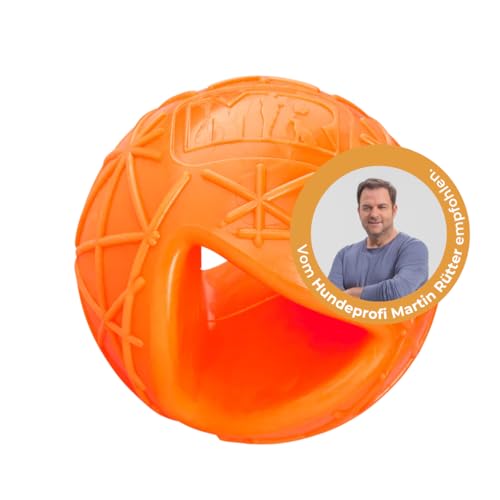 Martin Rütter Hundeball „Moby“ Orange – robuster Spielball für Hunde, befüllbar, aus 100% Naturmaterial, unvorhersehbar hüpfend, fördert Bewegung und geistige Auslastung Martin Rütter Hundeball „Moby“ Orange – robuster Spielball für Hunde, befüllbar, aus 100% Naturmaterial, unvorhersehbar hüpfend, fördert Bewegung und geistige Auslastung von Martin Rütter