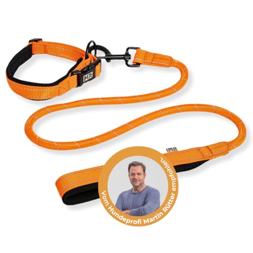 Martin Rütter Hundehalsband & Leine, Kombi-Set, Größe S, Neonorange – extra weich gepolstert, stark reflektierend, stufenlos verstellbar, komfortable Handschlaufe Martin Rütter Hundehalsband & Leine, Kombi-Set, Größe S, Neonorange – extra weich gepolstert, stark reflektierend, stufenlos verstellbar, komfortable Handschlaufe von Martin Rütter