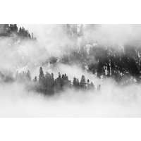 Leinwanddruck Nebelig Schneebedeckt Wald von MartyMellwayPhoto