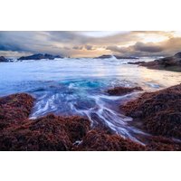 Leinwanddruck Von Pacific Ocean Intertidal von MartyMellwayPhoto