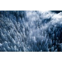 Verschneiter Wald, Vancouver Island. Leinwand, Metall, Acryl Und Fotodrucke von MartyMellwayPhoto