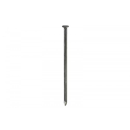 Masidef: Member of the Würth Group DY1012555 Nägel flacher Kopf glänzend 2,5 x 55 mm, 160 g von Masidef: Member of the Würth Group