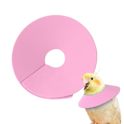 Masoog Halskrause für Hamster,Vogel Schutzhalskragen für Wellensittich - Anti-Beiß Halsband Für Kleintiere Zur Haarausfall Verhütung Katze Hase Frettchen Sittich Mäuse Training Masoog Halskrause für Hamster,Vogel Schutzhalskragen für Wellensittich - Anti-Beiß Halsband Für Kleintiere Zur Haarausfall Verhütung Katze Hase Frettchen Sittich Mäuse Training von Masoog