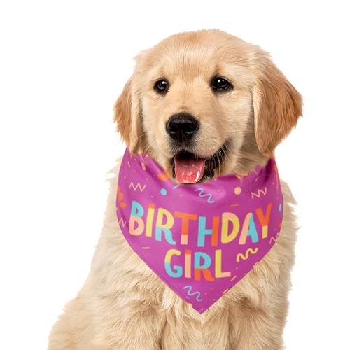 Masoog Hundetücher - Geburtstagsjunge Hund Bandana Spielzeug | Weicher Dreieckschal Süße Knochen Verstellbares Zubehör Für Kleine Mittelgroße Hunde Festtage Masoog Hundetücher - Geburtstagsjunge Hund Bandana Spielzeug | Weicher Dreieckschal Süße Knochen Verstellbares Zubehör Für Kleine Mittelgroße Hunde Festtage von Masoog