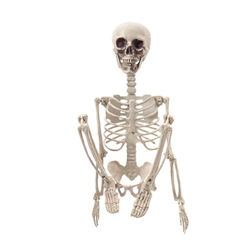 Masoog Skelett Halloween - 60cm Halloween Skelett Outdoor Dekoration - Klappbarer Schädel Menschliche Knochenfigur Deko Für Frauen Büro Partydekoration Masoog Skelett Halloween - 60cm Halloween Skelett Outdoor Dekoration - Klappbarer Schädel Menschliche Knochenfigur Deko Für Frauen Büro Partydekoration von Masoog