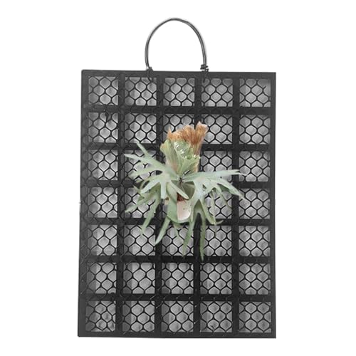 Masoog Staghorn Fern Wandhalterung - Vertikale Pflanzenwand Pflanzrahmen Brett - Orchideen Montage Zubehör Für Innenbereich Und Außenbereich Im Wohnzimmer Schlafzimmer Garten Zuhause Masoog Staghorn Fern Wandhalterung - Vertikale Pflanzenwand Pflanzrahmen Brett - Orchideen Montage Zubehör Für Innenbereich Und Außenbereich Im Wohnzimmer Schlafzimmer Garten Zuhause von Masoog