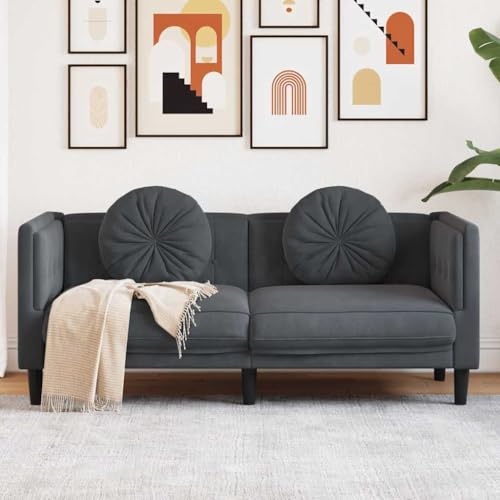 Massbinet 2-Sitzer Modernes Stoff Doppelsofa Sofa mit Kissen Montage für Wohnzimmer Schlafzimmer Dunkelgrau Samt Massbinet 2-Sitzer Modernes Stoff Doppelsofa Sofa mit Kissen Montage für Wohnzimmer Schlafzimmer Dunkelgrau Samt von Massbinet