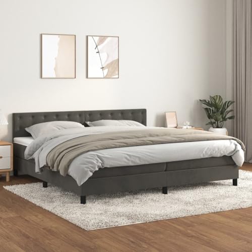 Massbinet Boxspringbett mit Matratze Dunkelgrau 200x200 cm Samt Hochwertige Matratzen Matratzen mit Sprungfedern Massbinet Boxspringbett mit Matratze Dunkelgrau 200x200 cm Samt Hochwertige Matratzen Matratzen mit Sprungfedern von Massbinet