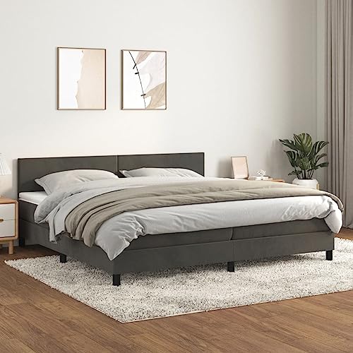 Massbinet Boxspringbett mit Matratze Dunkelgrau 200x200 cm Samt Hochwertige Matratzen Matratzen mit Sprungfedern Massbinet Boxspringbett mit Matratze Dunkelgrau 200x200 cm Samt Hochwertige Matratzen Matratzen mit Sprungfedern von Massbinet