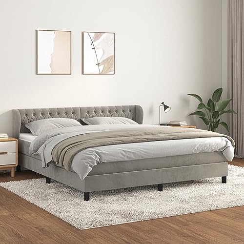 Massbinet Boxspringbett mit Matratze Hellgrau 160x200 cm Samt Moderne Jugendbett Gepolstert für Schlafzimmer Gästezimmer von Massbinet