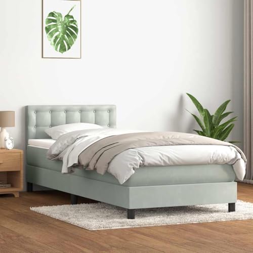 Massbinet Boxspringbett mit Matratze Hellgrau 90x220 cm Samt Hochwertige Matratzen Matratzen mit Sprungfedern Massbinet Boxspringbett mit Matratze Hellgrau 90x220 cm Samt Hochwertige Matratzen Matratzen mit Sprungfedern von Massbinet