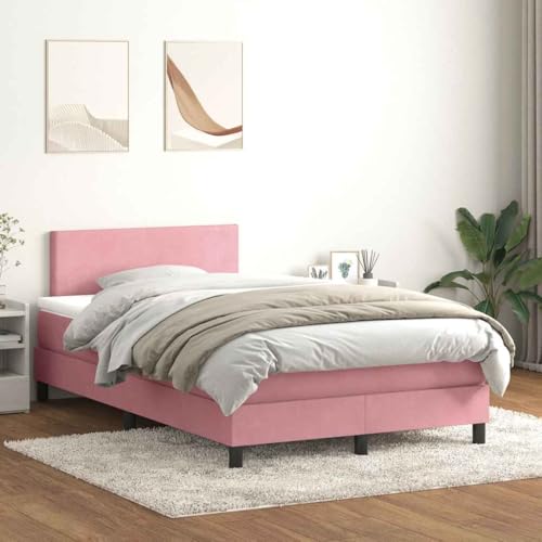 Massbinet Boxspringbett mit Matratze Rosa 120x220 cm Samt Hochwertige Matratzen Matratzen mit Sprungfedern Massbinet Boxspringbett mit Matratze Rosa 120x220 cm Samt Hochwertige Matratzen Matratzen mit Sprungfedern von Massbinet