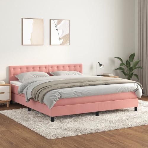 Massbinet Boxspringbett mit Matratze Rosa 160x200 cm Samt Hochwertige Matratzen Matratzen mit Sprungfedern von Massbinet