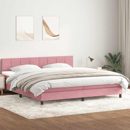 Massbinet Boxspringbett mit Matratze Rosa 180x220 cm Samt Hochwertige Matratzen Matratzen mit Sprungfedern Massbinet Boxspringbett mit Matratze Rosa 180x220 cm Samt Hochwertige Matratzen Matratzen mit Sprungfedern von Massbinet
