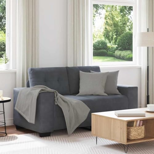 Massbinet Couch 2 Sitzer Samt Modern Mini Sofa Dunkelgrau 120 cm von Massbinet